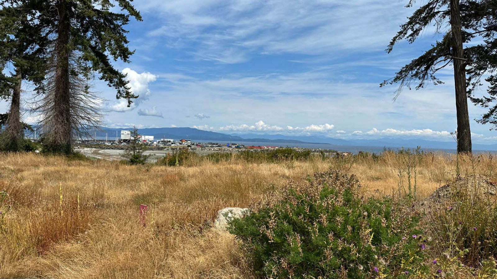 Empty lot photo of Lot 4 of Bayview Estates in French Creek, BC