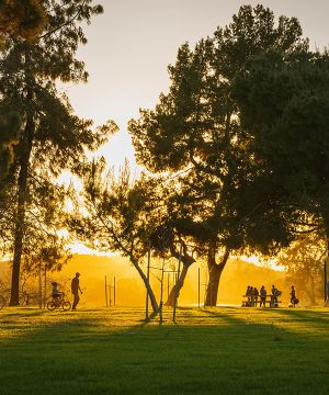 Groups of people playing in park on Vancouver Island, with sunset