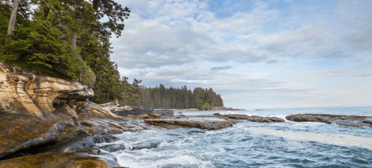 Vancouver Island ocean, shoreline and forest