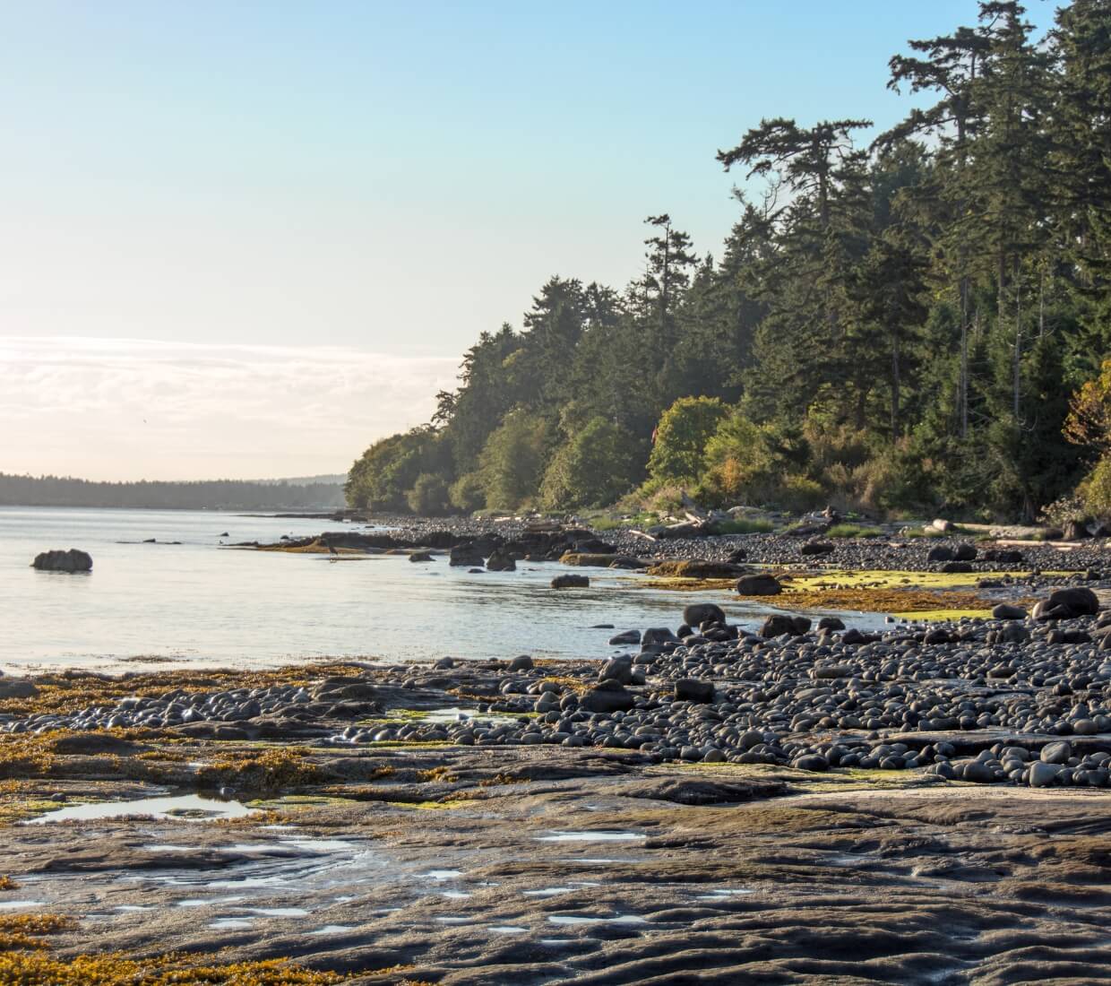 French Creek shoreline and ocean image